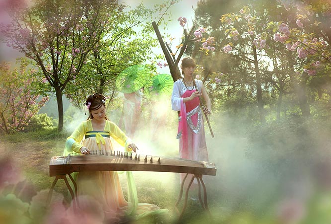 奔赴“花花世界” 2025湖南春季赏花消费季在洪江古商城启动