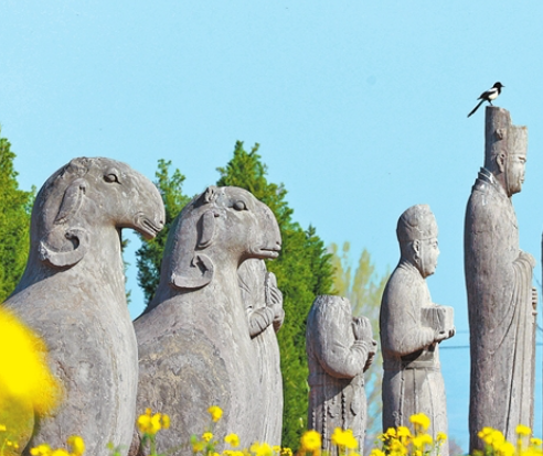 听，麦田生长的声音 ——中原厚土上的文明交响