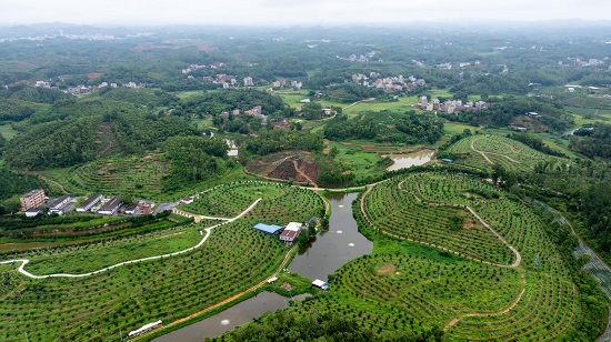 十五运看茂名：化州南药产业增添“体育+”实现节节高