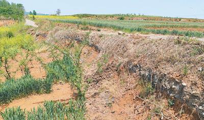 洛阳新安煤渣倾倒耕地，多年难以恢复，人民日报记者实地调查