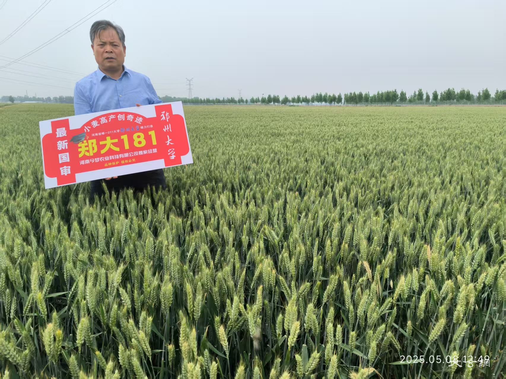 “郑大181”品种权转让签约 校企联合打通成果转化链条