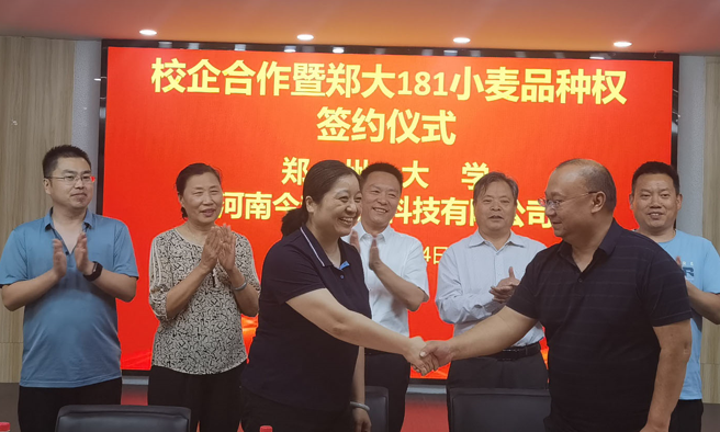“郑大181”品种权转让签约 校企联合打通成果转化链条