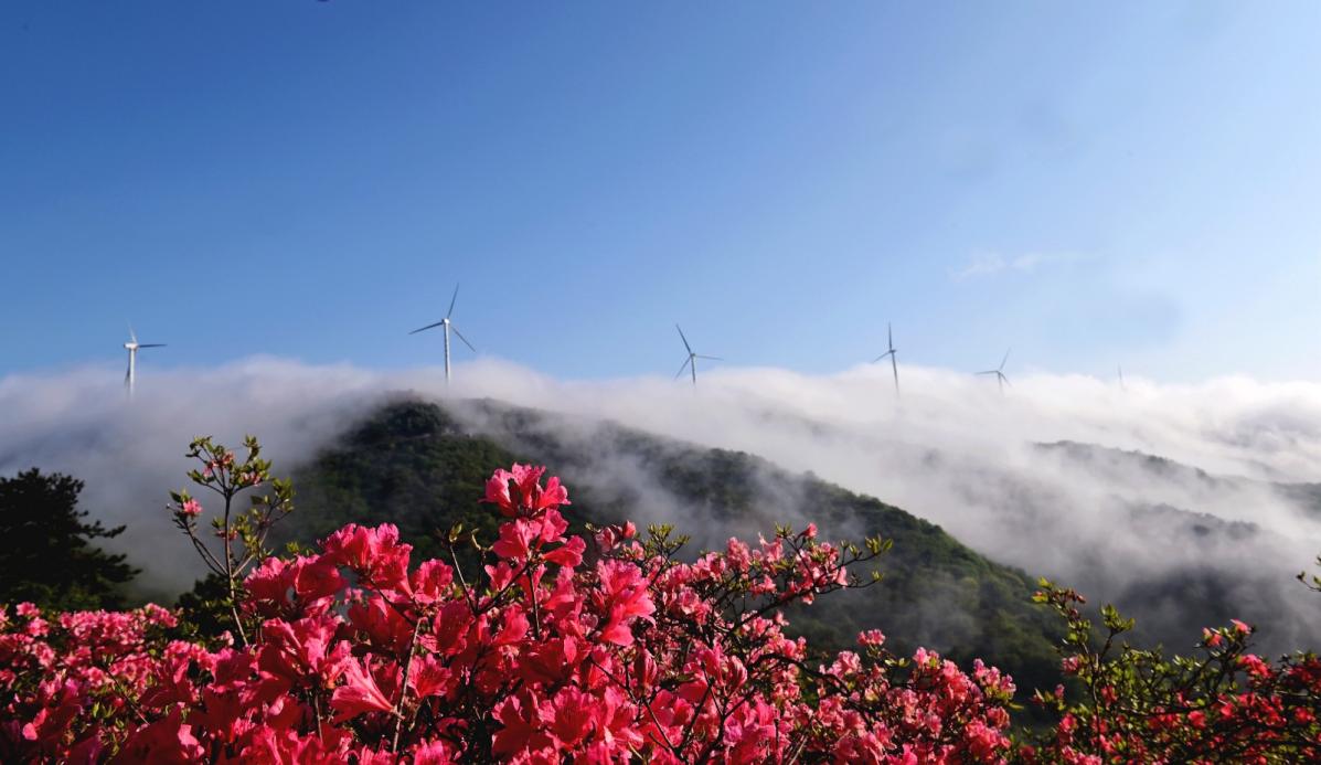 經世書院將推出「紅色傳承·雙節同慶」河南新縣大別山紅色文化研學活動