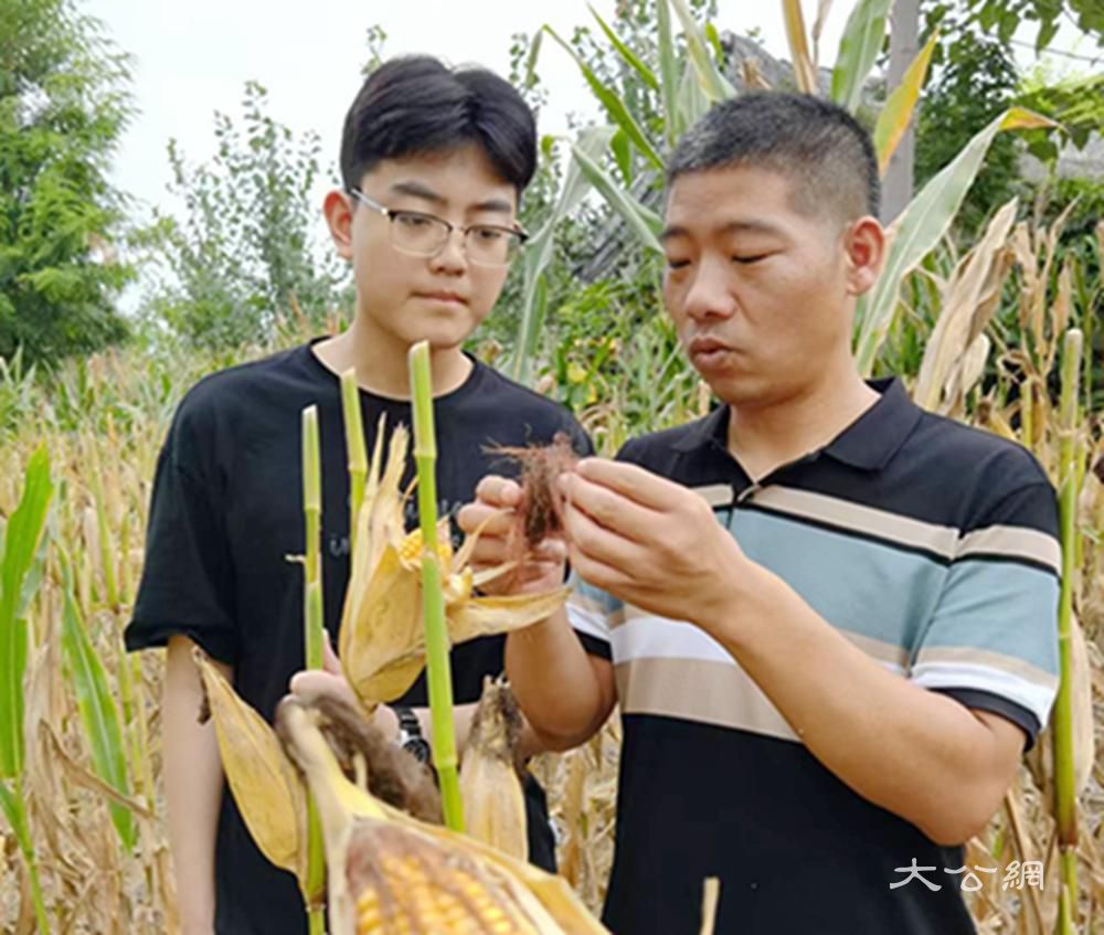 陈怡桦：以青春为笔，绘就温暖人间的画卷