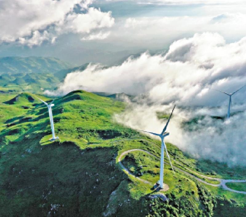 ﻿国际金融论坛/以创新与合作驱动可持续发展\安顿．马斯凯特里