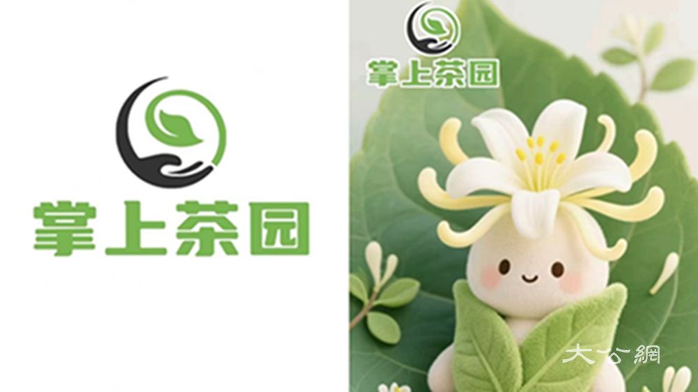 郑州经贸学院学子筑梦田间：用“掌上茶园”点亮乡村振兴路