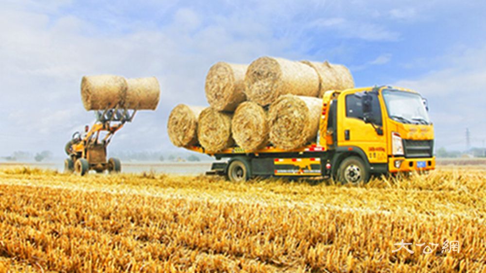 河南虞城：种粮大户奏响“田园交响曲”