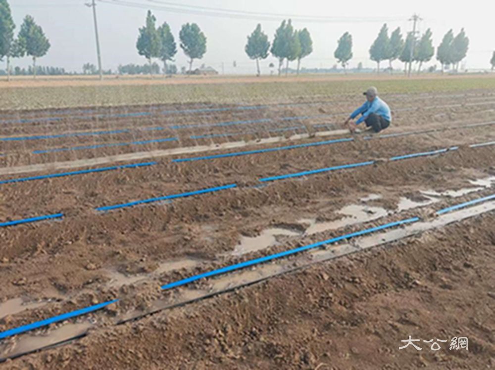 开封杞县：新型灌溉助力农业节本增效