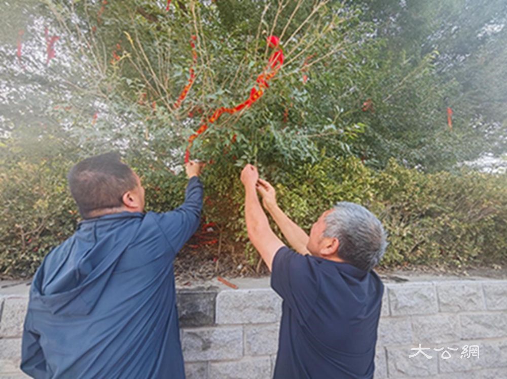 杞县林业发展中心组织技术人员到高阳镇金村开展狗脊骨树保护调查工作