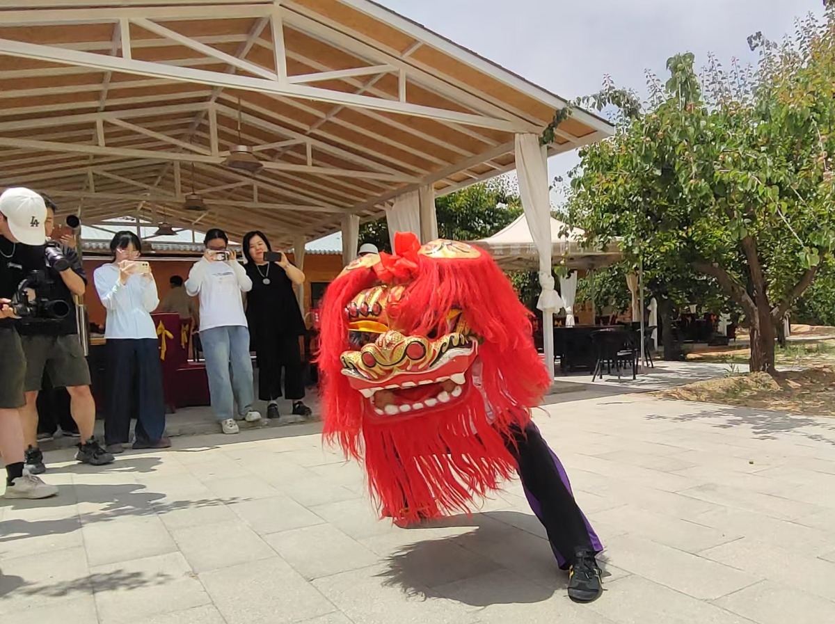 黄河之畔舞狮魂 “兰州狮王” 续写北狮传奇