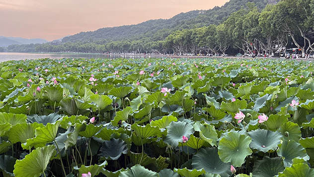 視頻班採風隨想