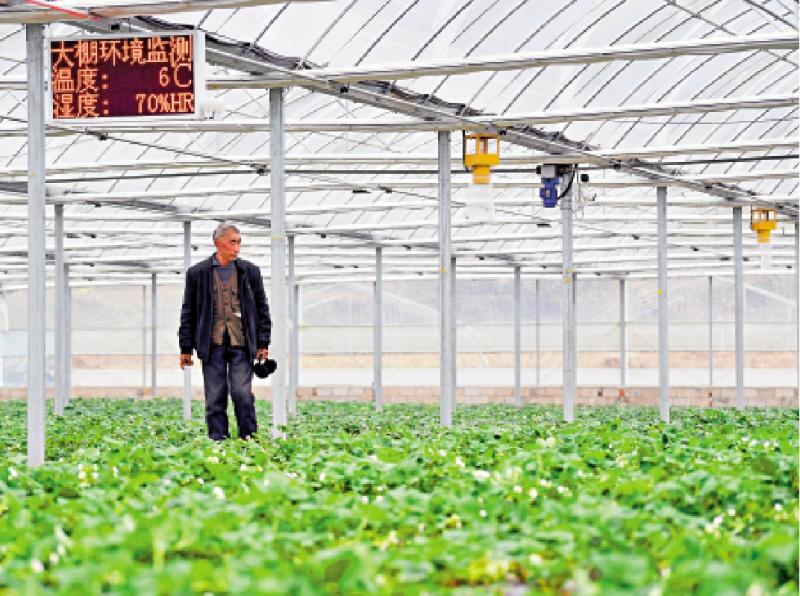 ﻿链能讲堂/RWA标准化 建数字资产枢纽\付 饶 石建政