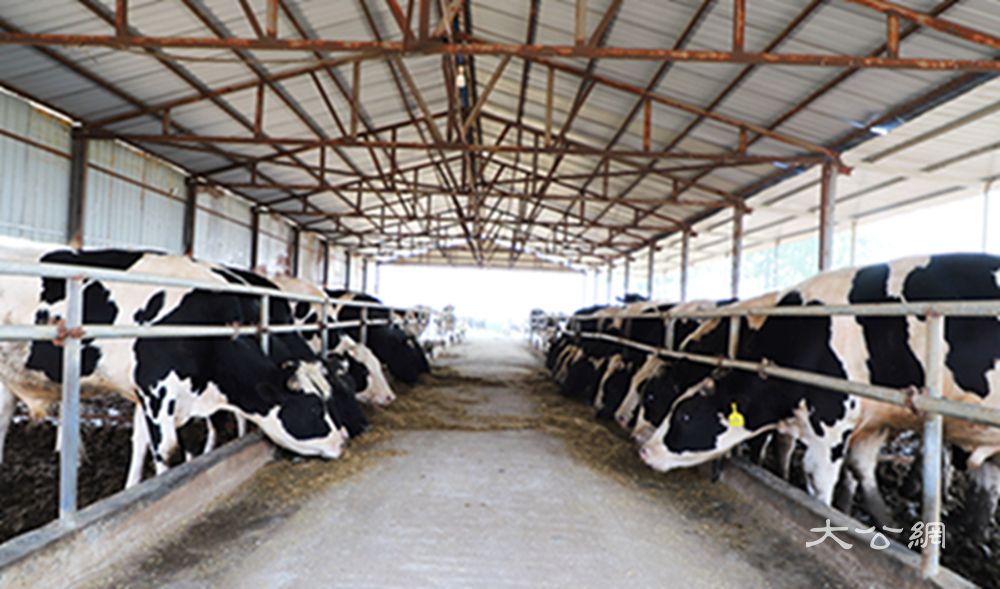 河南虞城林广付：转型成为“新农人” 带动村民共致富