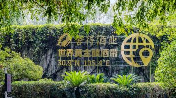 从中国白酒之乡射洪到法国巴黎，舍得酒业借老酒节IP打造文化出海新范本