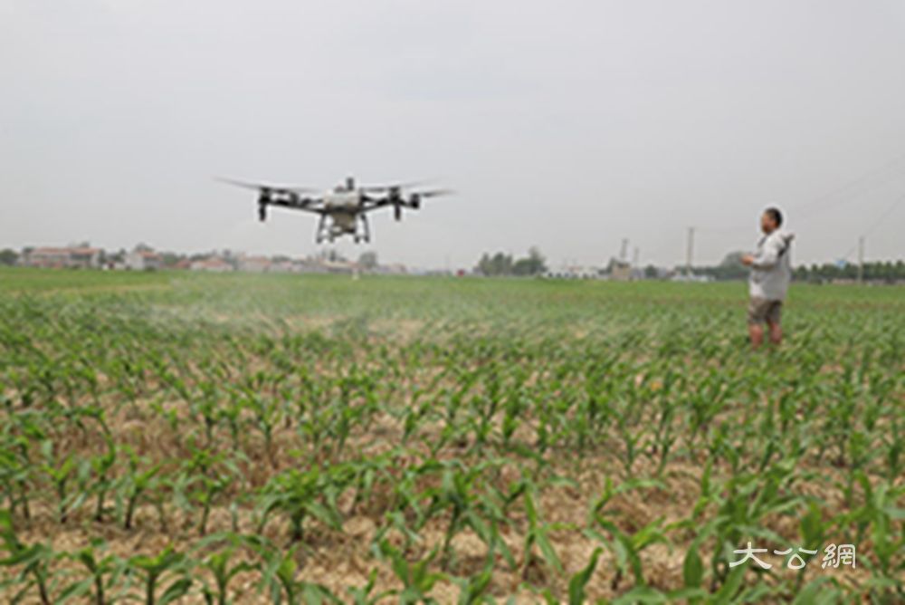 河南虞城：土地托管让农民当起“甩手掌柜”