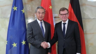 王毅：稀土不会成为中欧之间的问题