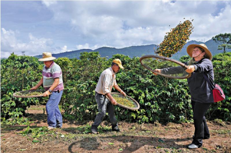 特朗普宣布征50%关税 巴西势反制