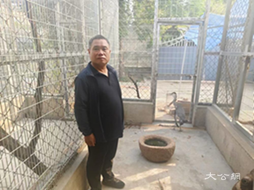 杞县热心群众与林业部门携手两只国家保护鸟类获及时救助