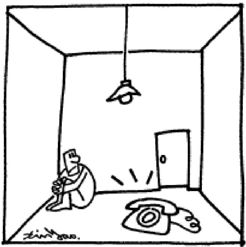 漫条思理\郑辛遥