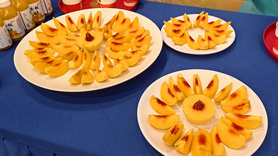 炎陵黃桃大會開幕在即 近9萬噸鮮果陸續上市