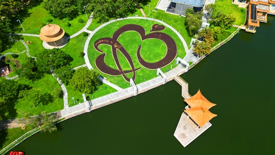 好心茂名——千年古郡的文化底色与现代绽放