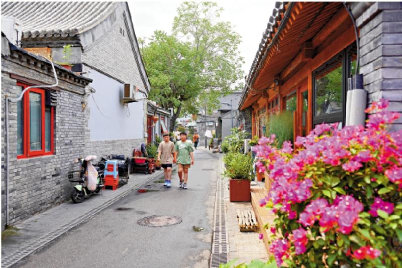 ﻿君子玉言/小胡同里的大世界\小杳