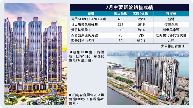 韧性十足/新盘销情佳 上月录2020宗大增33%
