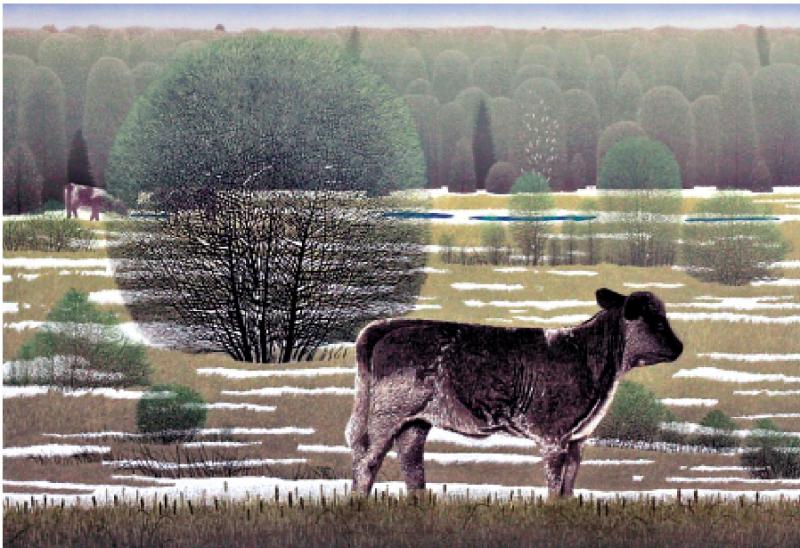 ﻿香港“黄永玉”国际青年版画艺术家扶持计划/“画说龙江”黑龙江当代版画亮相香江