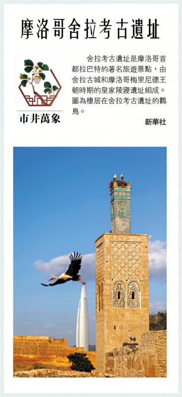 市井万象/摩洛哥舍拉考古遗址