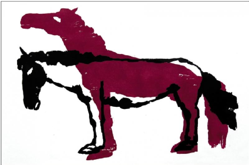 ﻿香港“黄永玉”国际青年版画艺术家扶持计划/苏新平：在创作中展现创造性和独特性