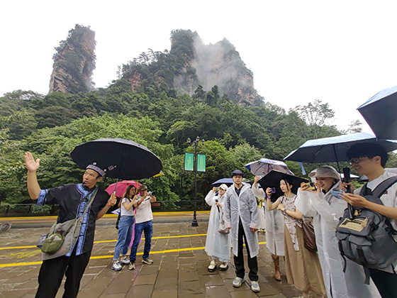 重慶網絡達人打卡張家界國家森林公園