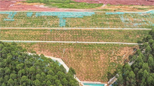 中交三航局平陆运河项目堆存场土地复垦工作开启