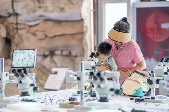 暑期世园研学热，四万青少年共享精彩盛夏