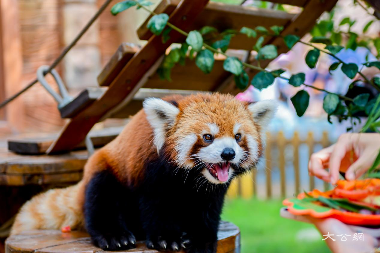 1755607736409030.png 銀基4.png