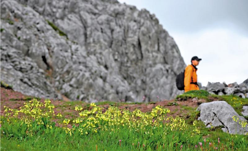 ﻿共创共享/转型阵痛难免 企业家须积极应对\戈峻