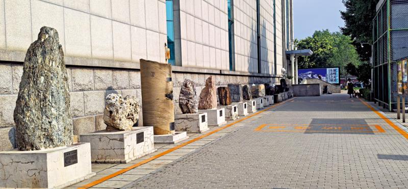 自由谈/地质的广场（上）\杨小波