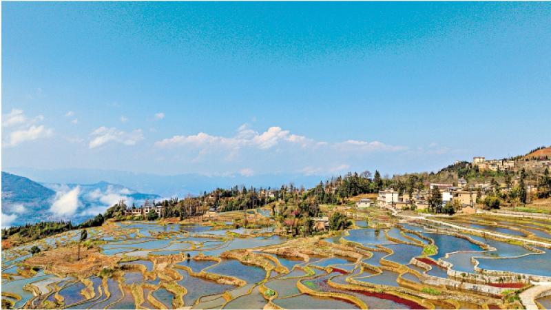 七日谈（北京篇）/诚信兮，归来\云德