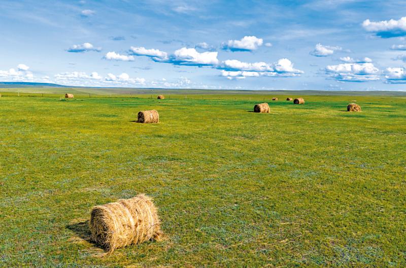 市井万象/秋景如画