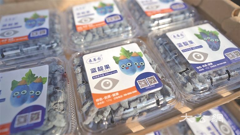 走近“寒地龙果”蓝靛果 从山林野果到“浆果之王”