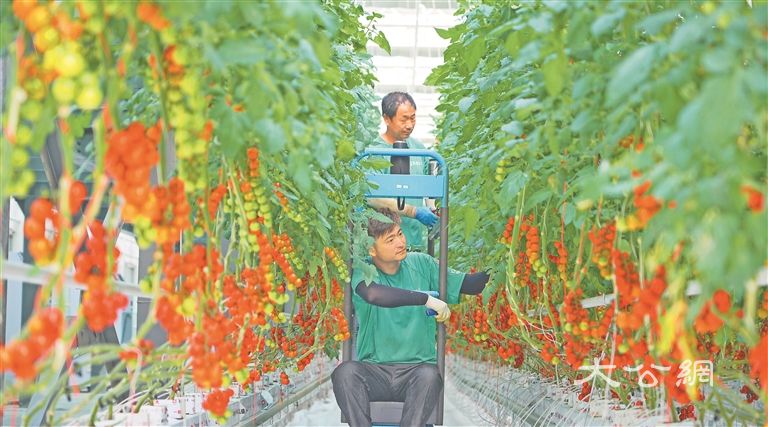 现代农业产业园成网红打卡地