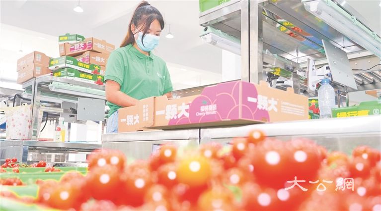 现代农业产业园成网红打卡地