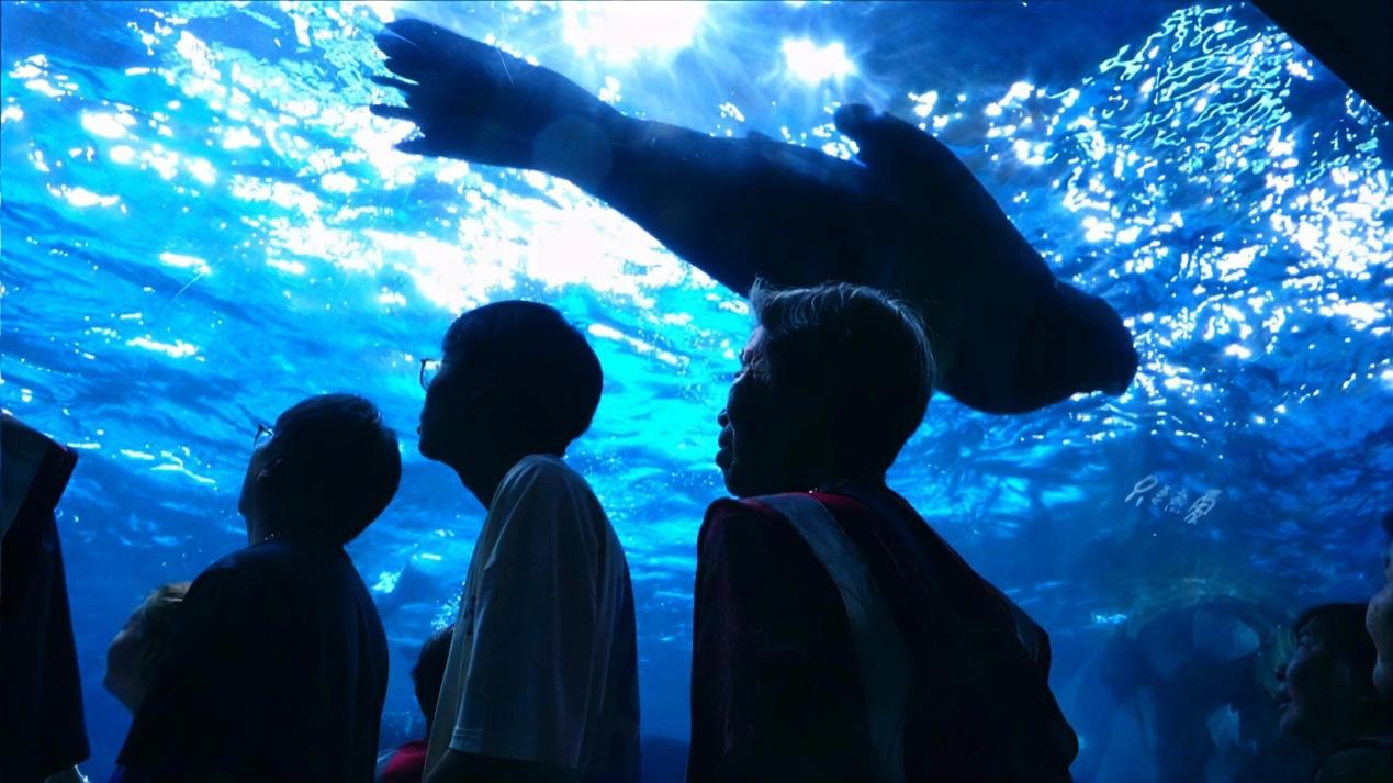 鄭州海昌攜手小芳村長打造「藍色童年重溫之旅」