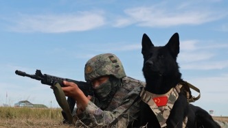 首次组织！中俄蒙举行“边防合作-2025”联合演练