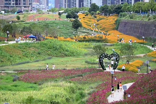 血脈暢通：從「堵心路」到「順心路」的民生溫度