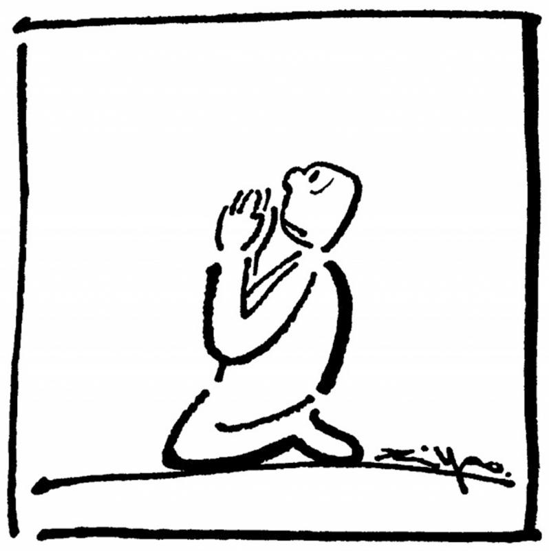 ﻿漫条思理/郑辛遥