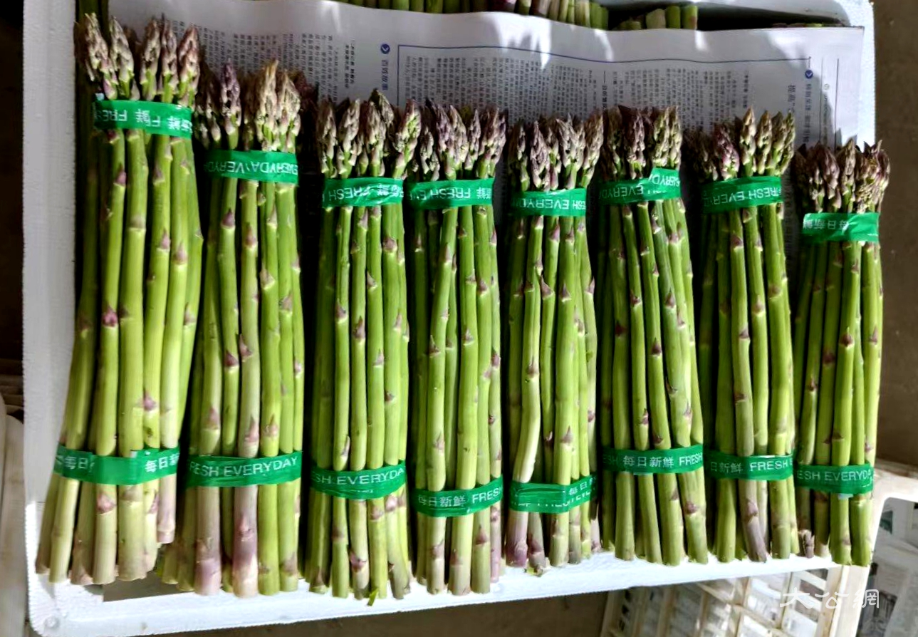 河南睢县芦笋获评“国字号”名特优新农产品