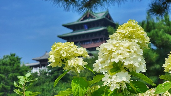 北京世园公园秋色满园，多彩景观打卡点等您探秘