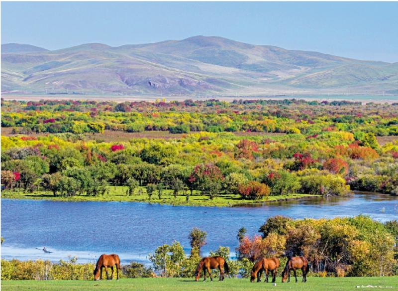 市井万象/秋景如画