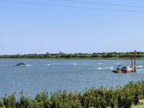 中交三航局三公司承杭州市錢塘區大灣區濕地公園生態修複項目正式開工