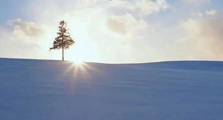 僥倖是自己給自己「挖坑」